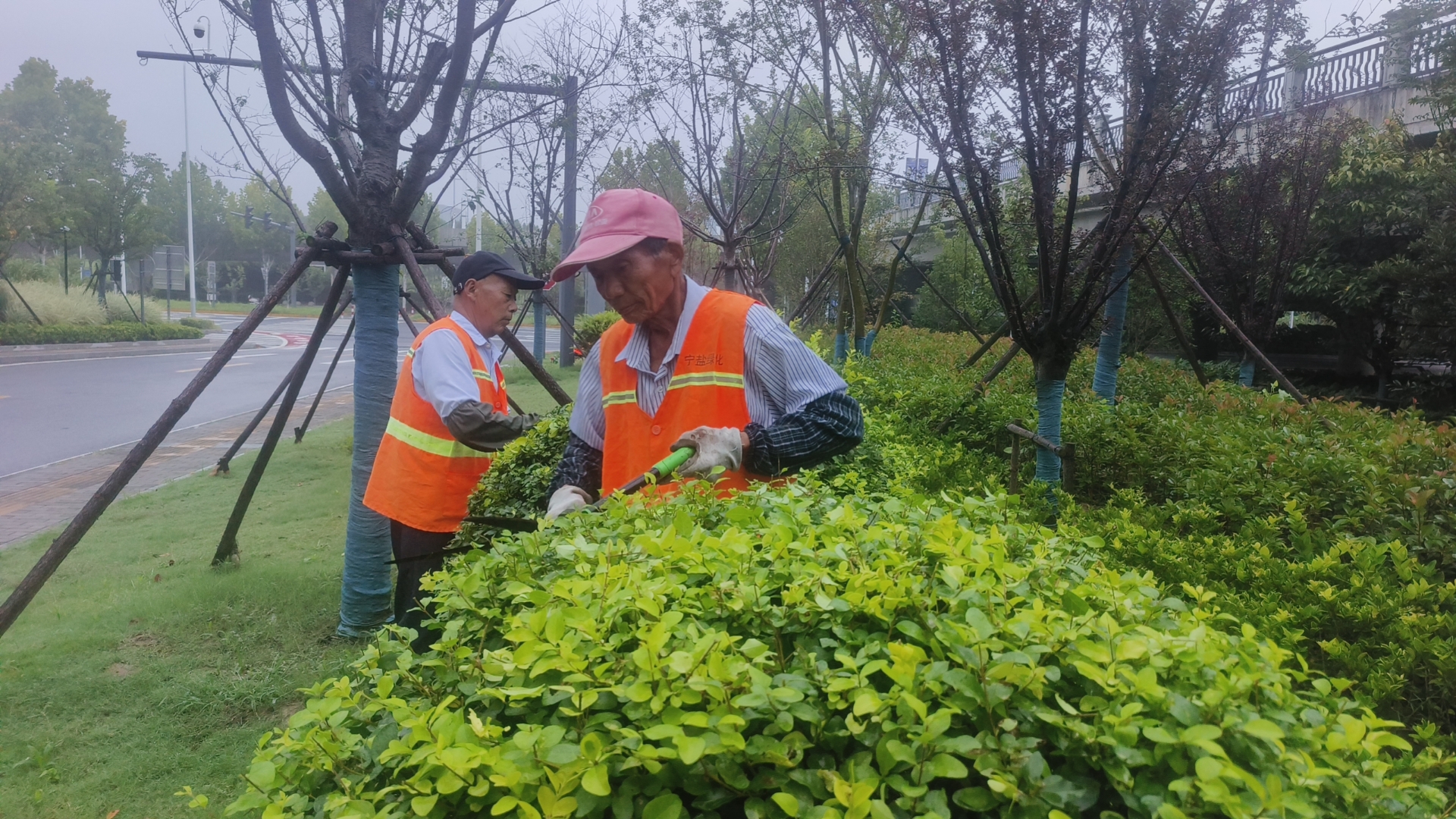 微信图片_20250922085535_582_6.jpg 微信图片_20250922085535_582_6.jpg